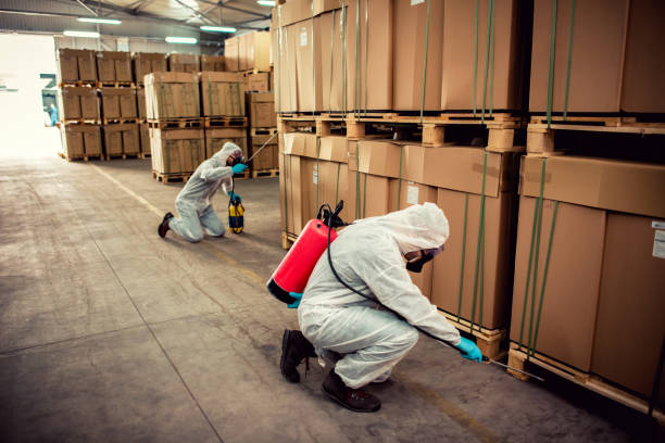 Best Pest Control for Restaurants  in Wolf Trap, VA