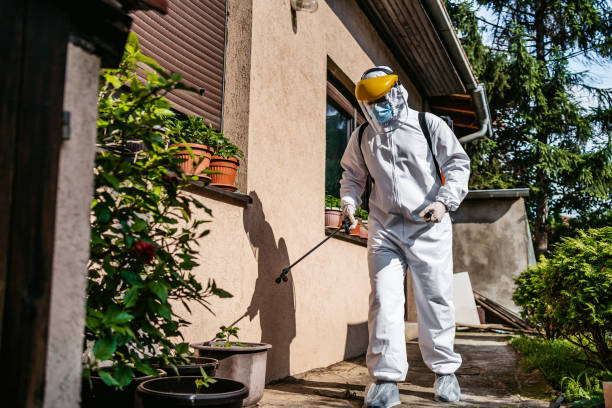Best Flea Control Services  in Wolf Trap, VA