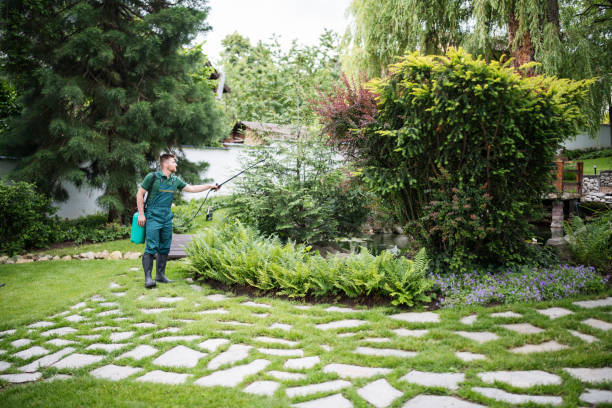 Best Pest Inspection Near Me  in Wolf Trap, VA