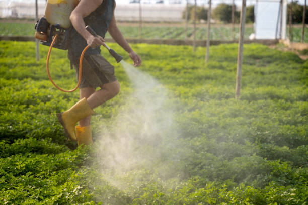 Best Local Pest Control Services  in Wolf Trap, VA