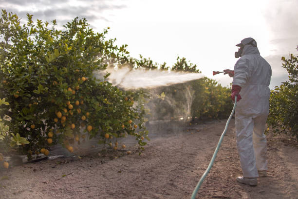 Best Pest Control Near Me  in Wolf Trap, VA