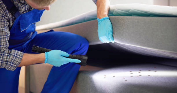 Best Wasp Removal Services  in Wolf Trap, VA