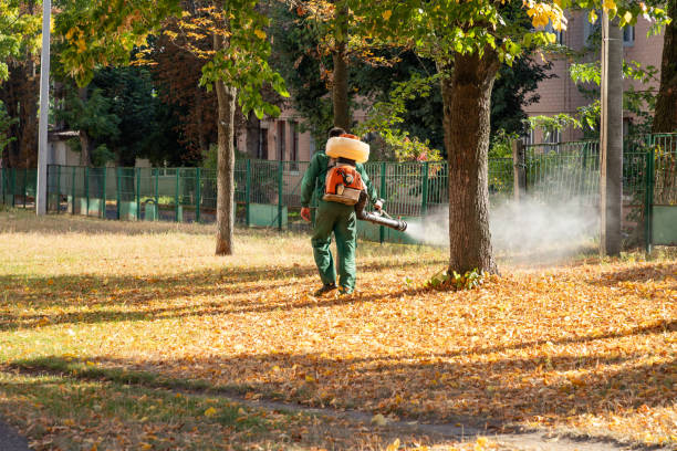 Best Pest Removal Services  in Wolf Trap, VA