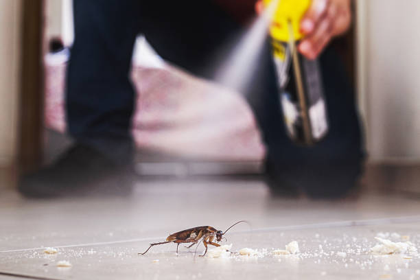 Best Best Pest Control Companies  in Wolf Trap, VA