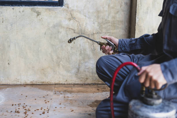 Best Commercial Pest Control Services  in Wolf Trap, VA