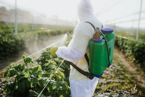 Best Wildlife Control Services  in Wolf Trap, VA